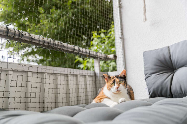 TRIXIE Katzenschutznetz